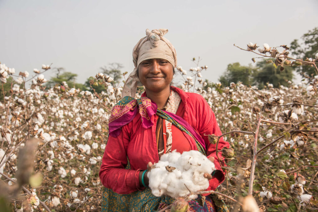 Organic cotton farmer